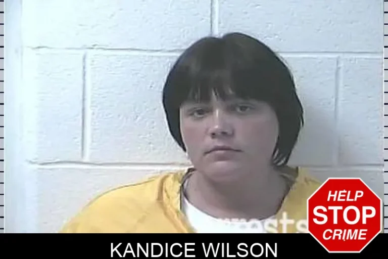 Kandice Wilson