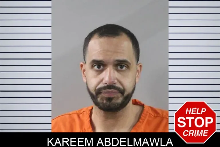Kareem Abdelmawla