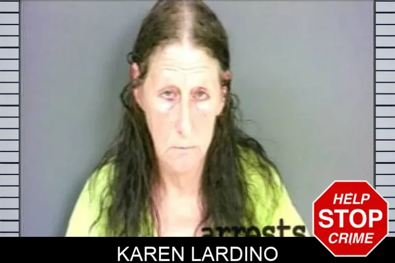 Karen Lardino