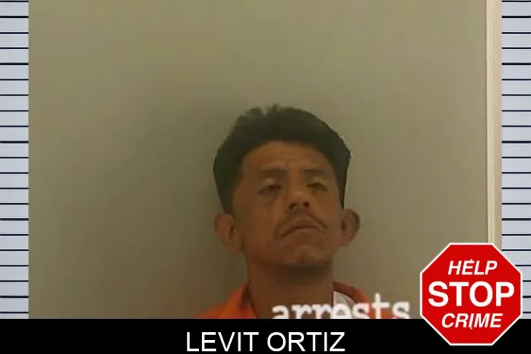 Levit Ortiz