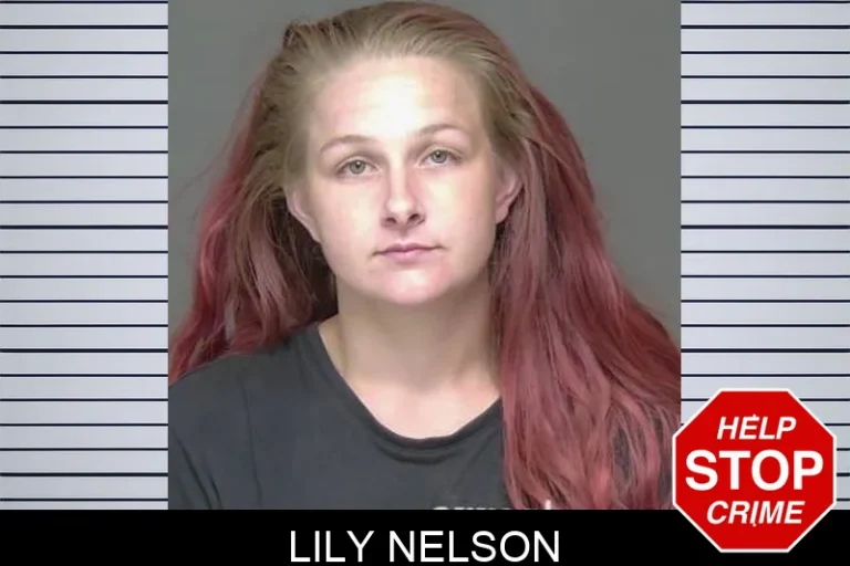 Lily Nelson