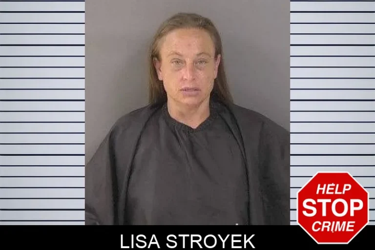 Lisa Stroyek