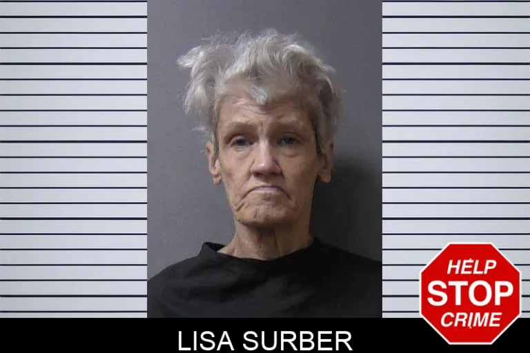 Lisa Surber