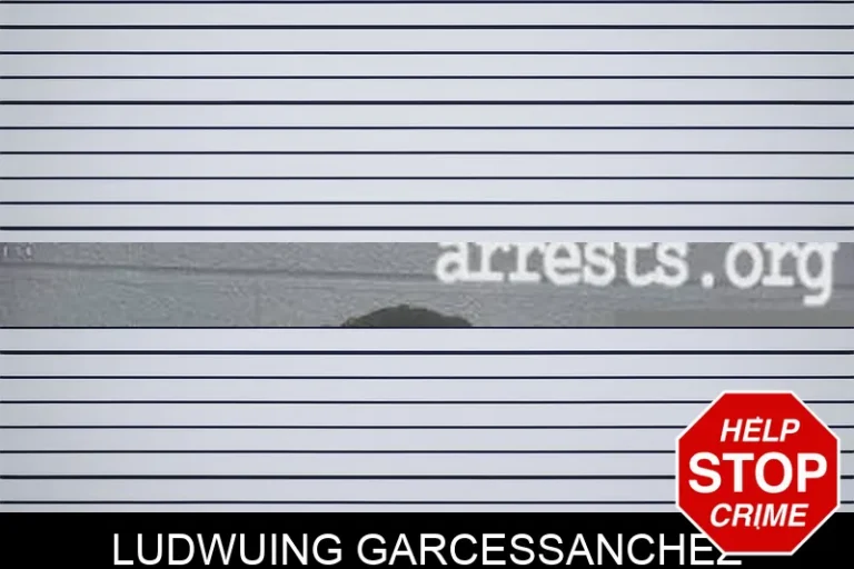 Ludwuing GarcesSanchez