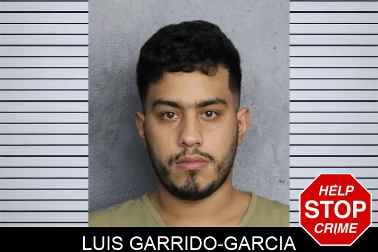 Luis Garrido-Garcia