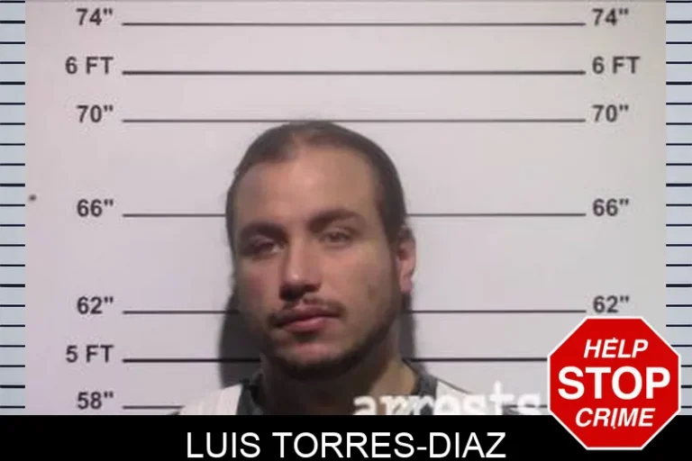 Luis Torres-Diaz