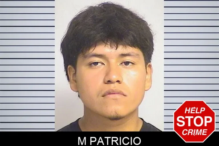 M Patricio