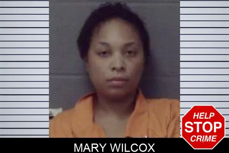 Mary Wilcox
