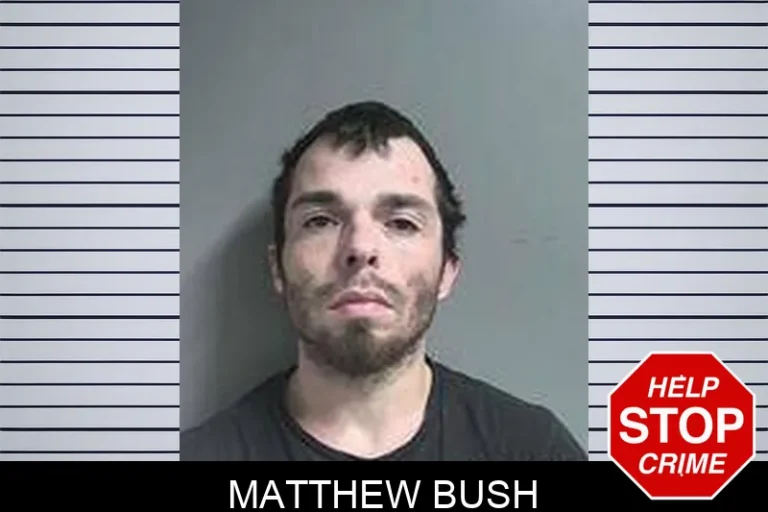 Matthew Bush