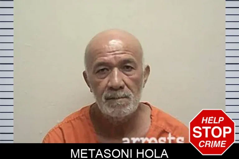 Metasoni Hola