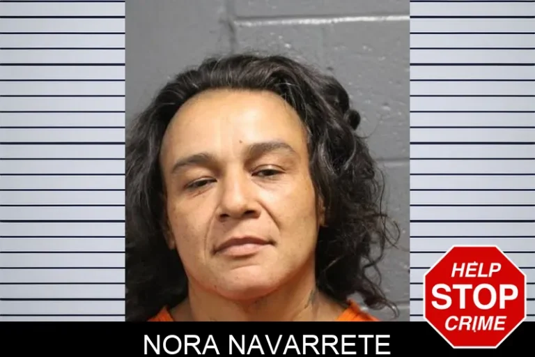 Nora Navarrete
