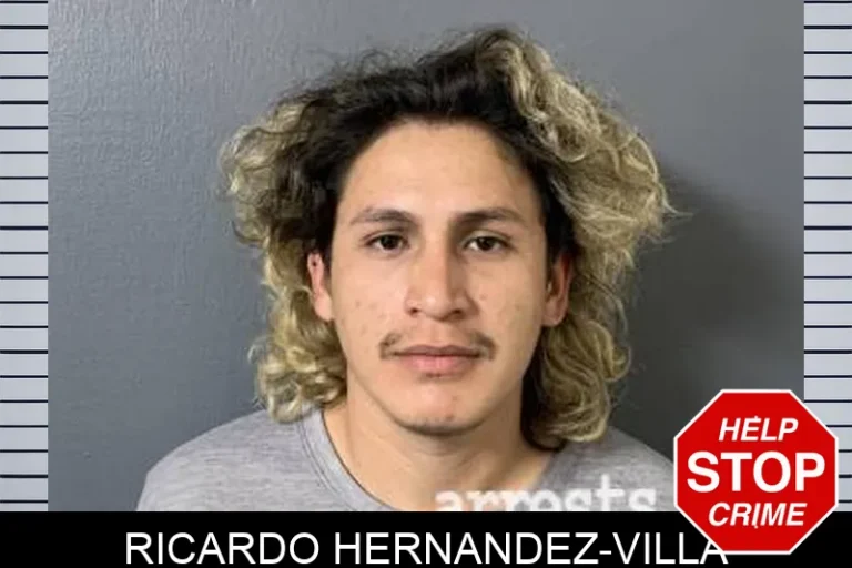 Ricardo Hernandez-Villa