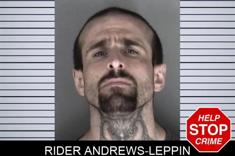 Rider Andrews-Leppin