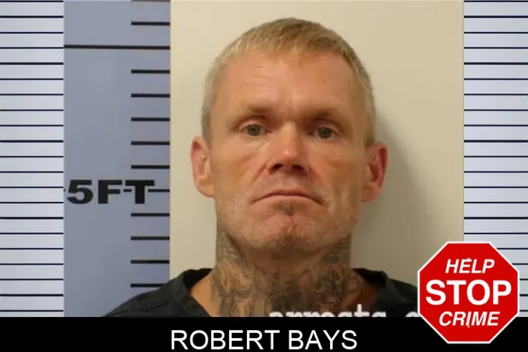 Robert Bays
