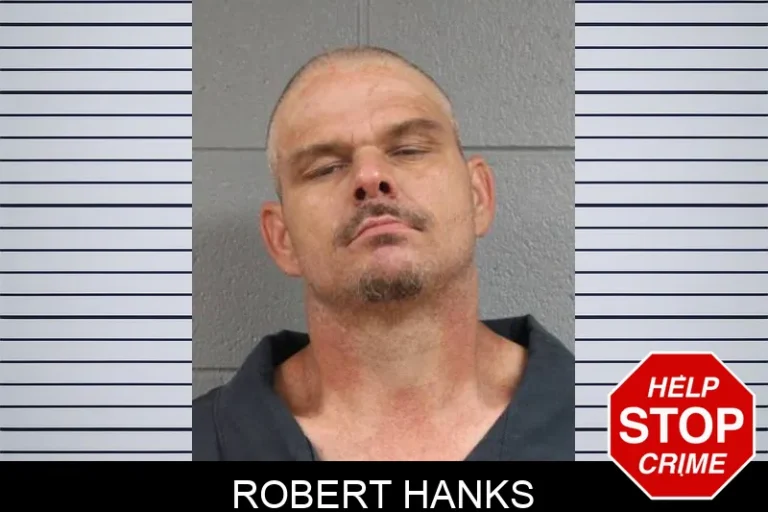 Robert Hanks