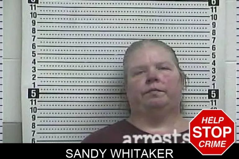 Sandy Whitaker