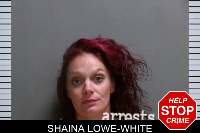 Shaina Lowe-White