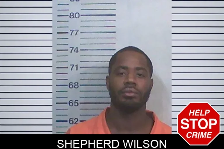Shepherd Wilson