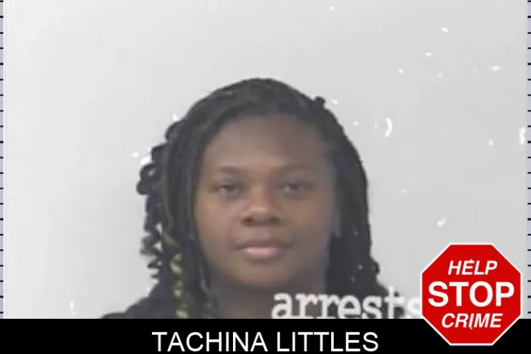 Tachina Littles