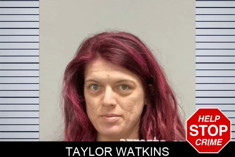 Taylor Watkins