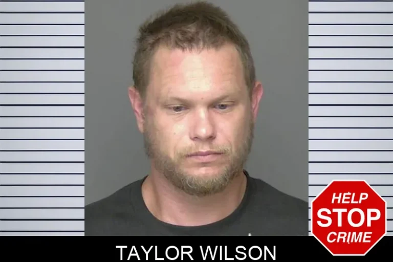 Taylor Wilson