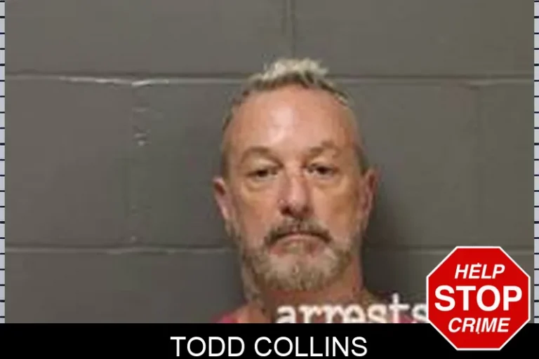 Todd Collins
