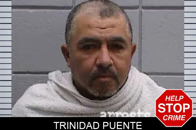 Trinidad Puente