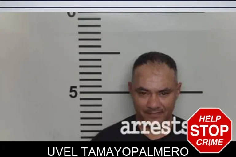 Uvel TamayoPalmero