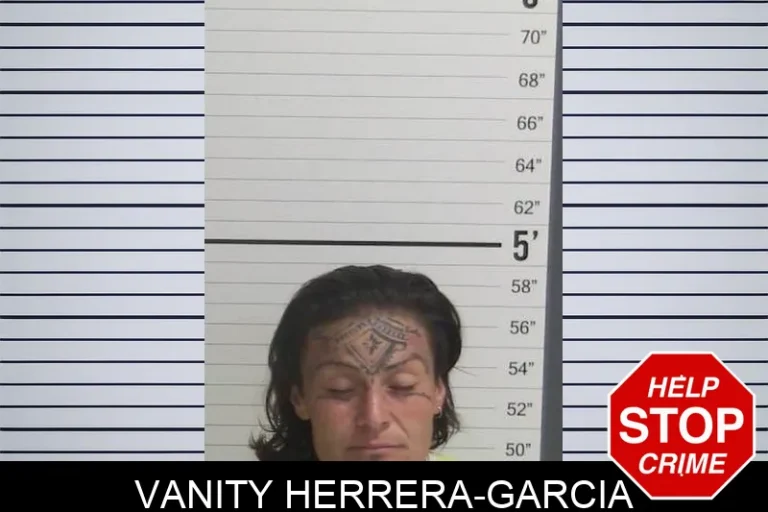 Vanity Herrera-Garcia