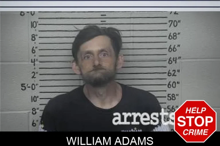 William Adams