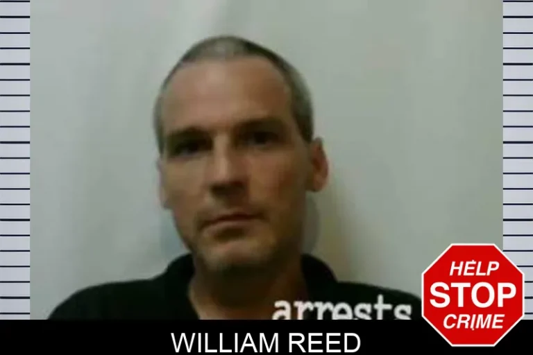 William Reed