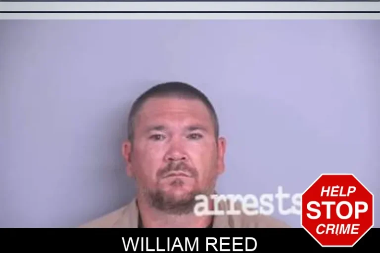 William Reed