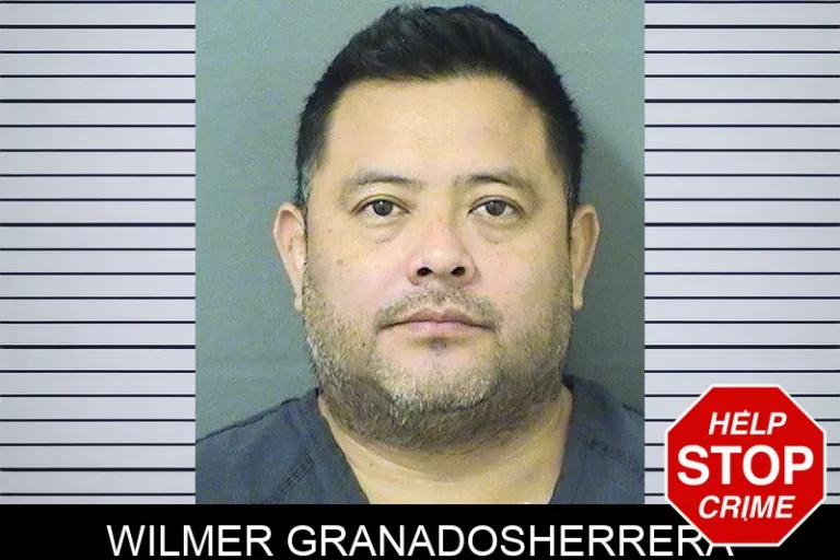 Wilmer Granadosherrera