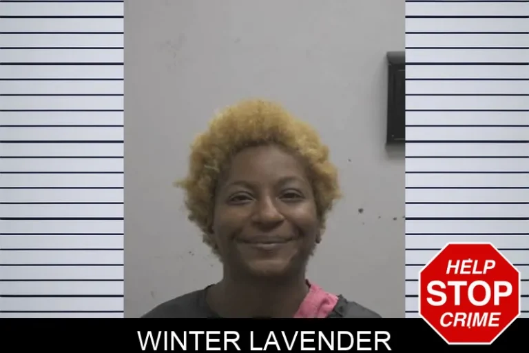 Winter Lavender