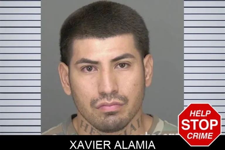 Xavier Alamia