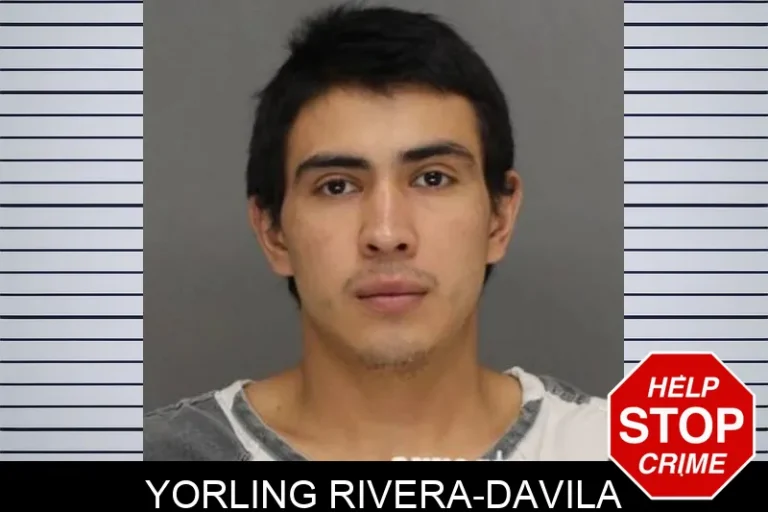 Yorling Rivera-Davila