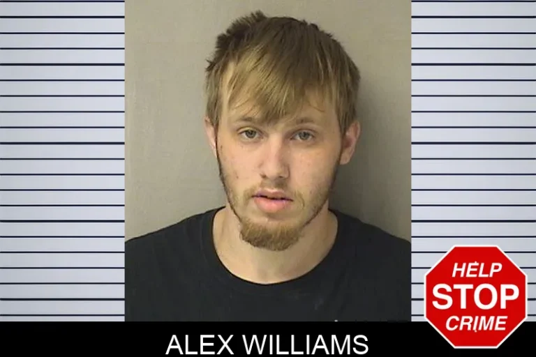 Alex Williams