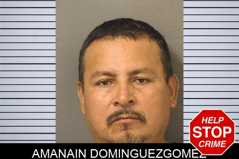 Amanain Dominguezgomez