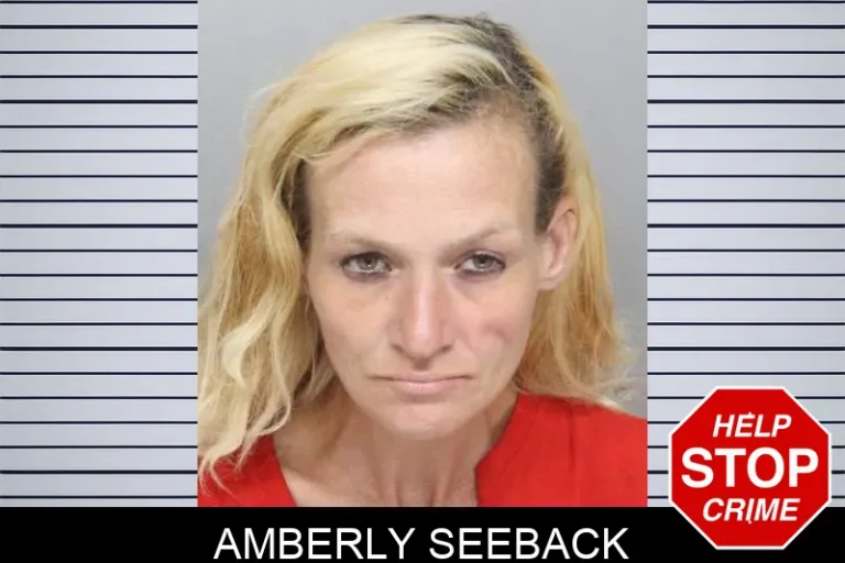 Amberly Seeback