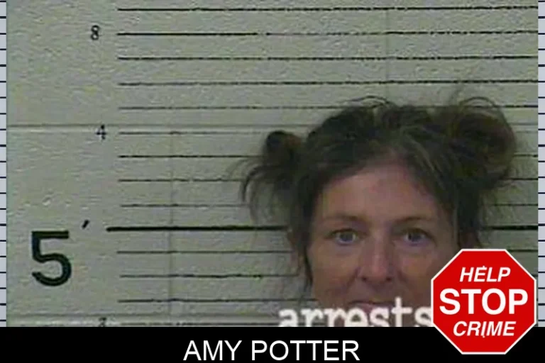 Amy Potter