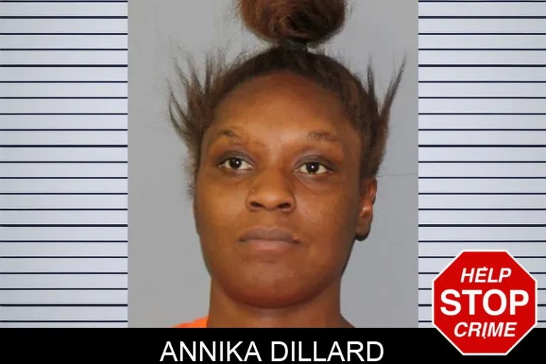 Annika Dillard