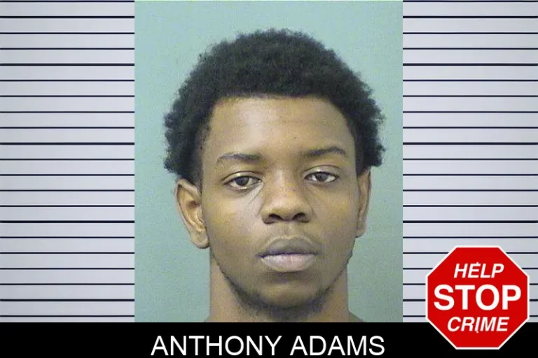 Anthony Adams