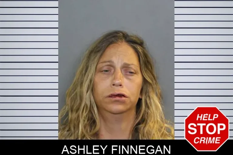 Ashley Finnegan