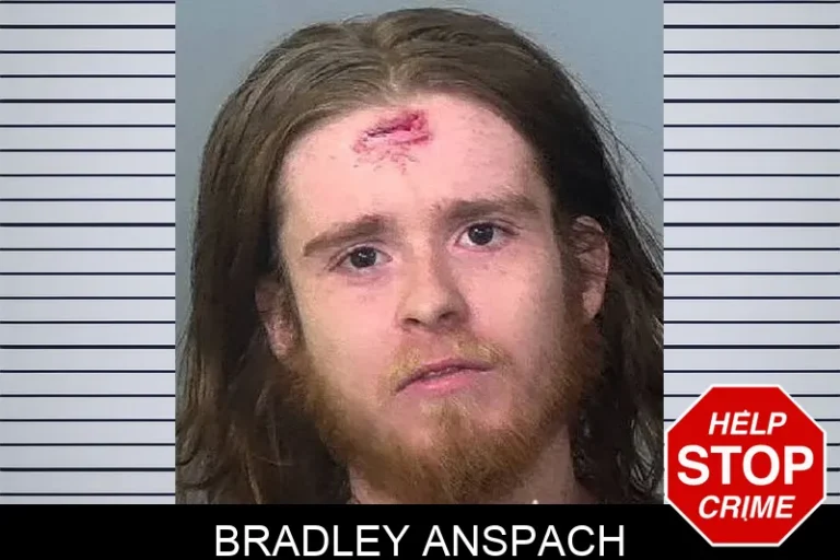 Bradley Anspach