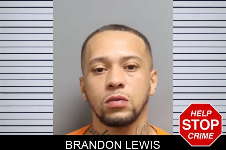 Brandon Lewis