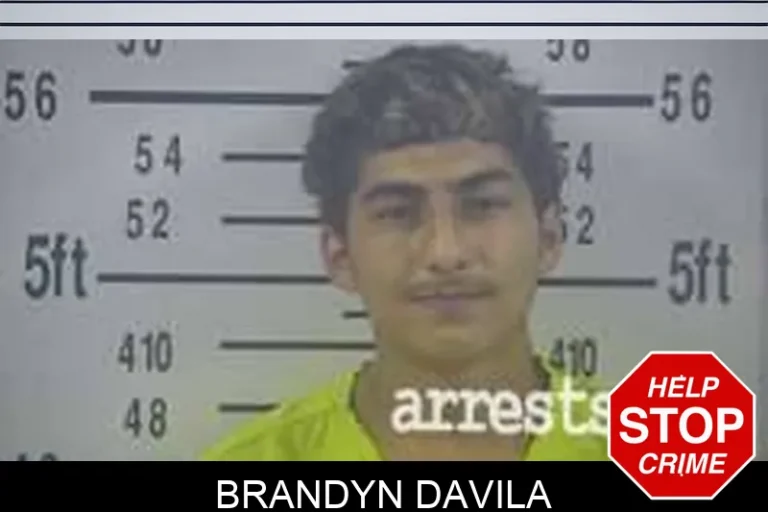 Brandyn Davila