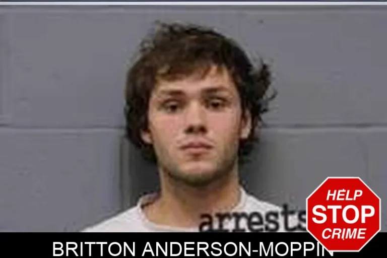 Britton Anderson-Moppin