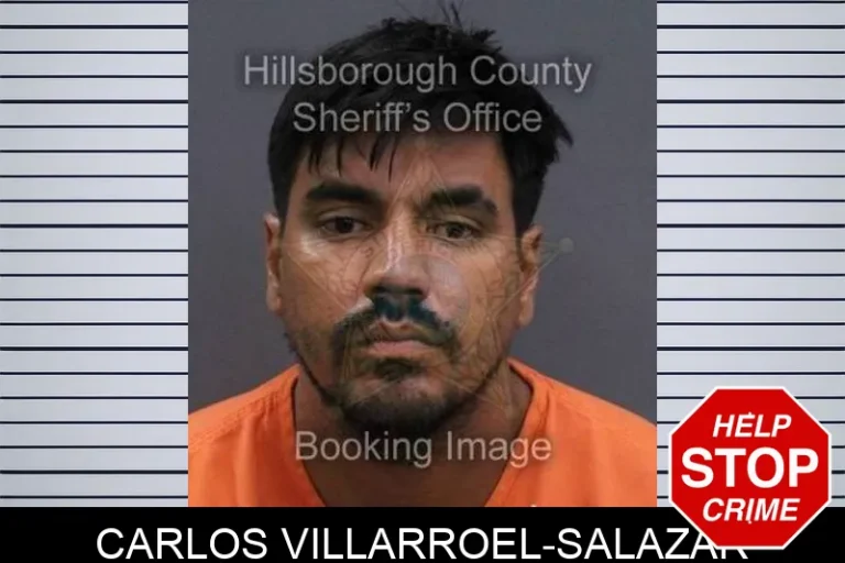 Carlos Villarroel-Salazar