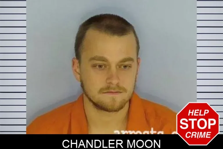 Chandler Moon