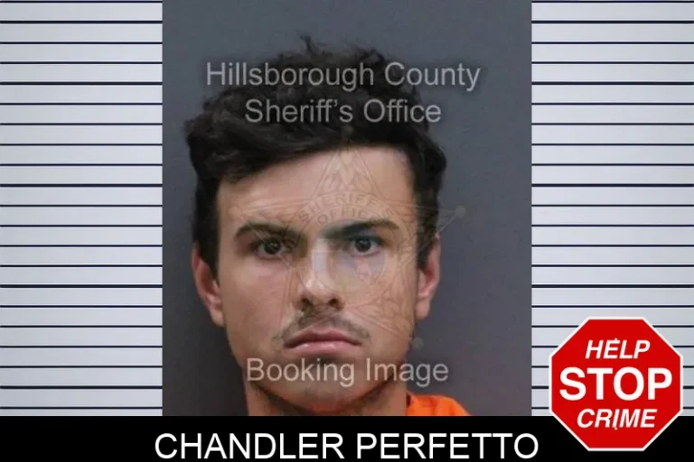 Chandler Perfetto